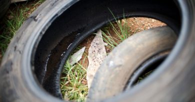 Quase mil cidades podem ter surto de dengue, zika e chikungunya Quase mil cidades podem ter surto de dengue, zika e chikungunya